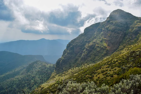 Mgliste Krajobrazy Aberdare Ranges Kenia — Zdjęcie stockowe