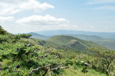 Bir dağ geçmişine karşı Savannah otlak, oloroka Sıradağları 'nda Mount OLE sekut, Kenya
