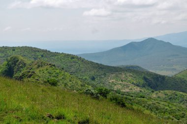 Bir dağ geçmişine karşı Savannah otlak, oloroka Sıradağları 'nda Mount OLE sekut, Kenya