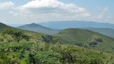 Bir dağ geçmişine karşı Savannah otlak, oloroka Sıradağları 'nda Mount OLE sekut, Kenya