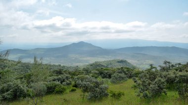Bir dağ geçmişine karşı Savannah otlak, oloroka Sıradağları 'nda Mount OLE sekut, Kenya