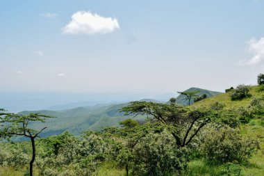Bir dağ geçmişine karşı Savannah otlak, oloroka Sıradağları 'nda Mount OLE sekut, Kenya