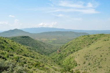 Bir dağ geçmişine karşı Savannah otlak, oloroka Sıradağları 'nda Mount OLE sekut, Kenya