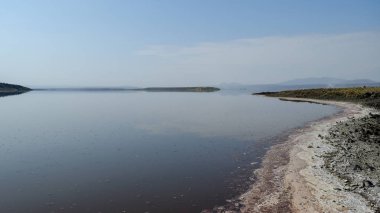 Magadi Gölü kıyılarında renkli yosun, Rift Vadisi, Kenya
