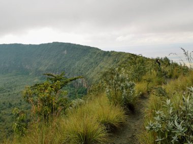 Longonot Dağı 'nın volkanik krateri boyunca yürüyüş, Kenya