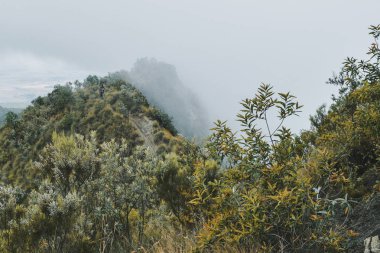 Longonot Dağı 'nın volkanik krateri boyunca yürüyüş, Kenya