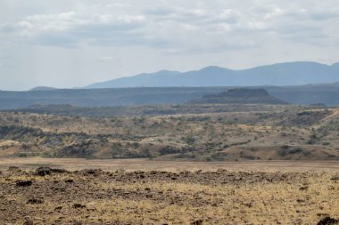 Kurak manzara OAF Lake Magadi, Magadi, Rift Vadisi, Kenya
