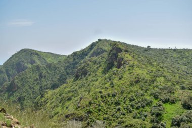 Savannah otlak bir dağ arka planda, oloroka Sıradağları, kajiado, Kenya karşı