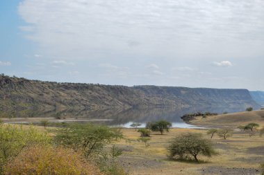 Kurak manzara OAF Lake Magadi, Magadi, Rift Vadisi, Kenya