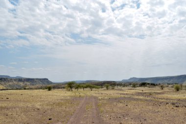 Kurak manzara OAF Lake Magadi, Magadi, Rift Vadisi, Kenya