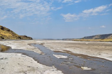 Magadi Gölü 'nde renkli yosun, Rift Vadisi, Kenya