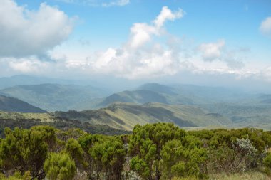 Kenya, Aberdare 'in panoramik dağ manzaralarındaki yağmur ormanlarındaki şelale