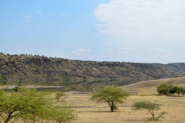 Kenya 'daki Magadi Gölü' nün kurak manzaralarında safari macerası izleme oyunu