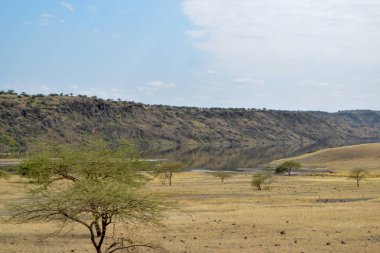 Kenya 'daki Magadi Gölü' nün kurak manzaralarında safari macerası izleme oyunu