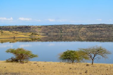 Kenya 'daki Magadi Gölü' nün kurak manzaralarında safari macerası izleme oyunu