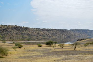 Kenya 'daki Magadi Gölü' nün kurak manzaralarında safari macerası izleme oyunu
