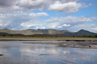 Kenya 'daki Magadi Gölü' nün kurak manzaralarında safari macerası izleme oyunu