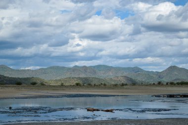 Kenya 'daki Magadi Gölü' nün kurak manzaralarında safari macerası izleme oyunu