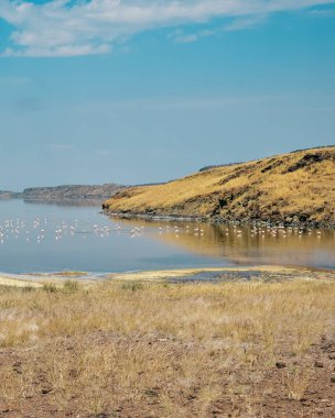 Kenya 'daki Magadi Gölü' nün kurak manzaralarında safari macerası izleme oyunu