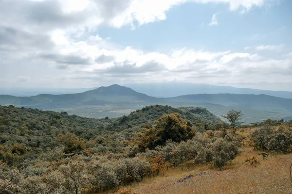 Bir dağ geçmişine karşı Savannah otlak, oloroka Sıradağları 'nda Mount OLE sekut, Kenya