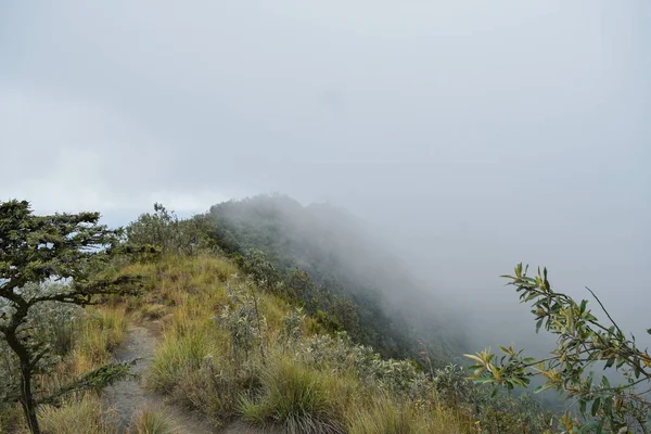 Піший Похід Вулканічному Кратері Гори Лонноот Кенія — стокове фото