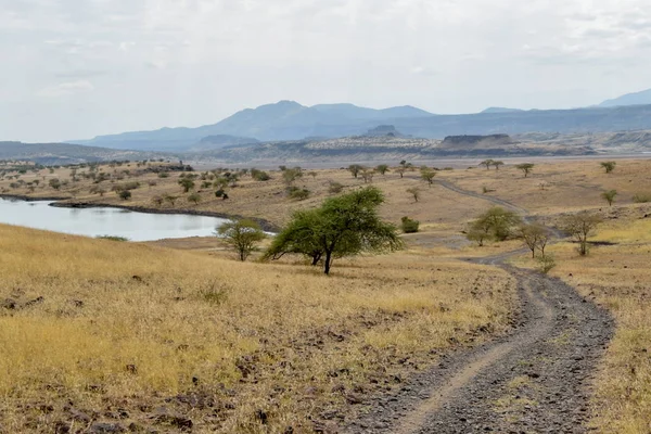 Kurak Manzara Oaf Lake Magadi Magadi Rift Vadisi Kenya — Stok fotoğraf