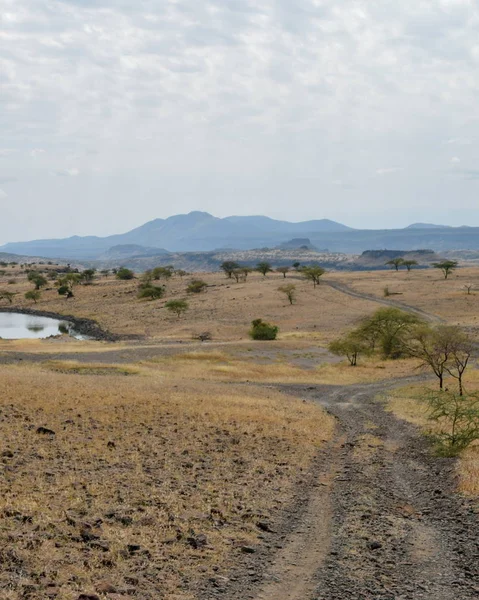 Den Torra Landskap Oaf Lake Magadi Magadi Rift Valley Kenya — Stockfoto