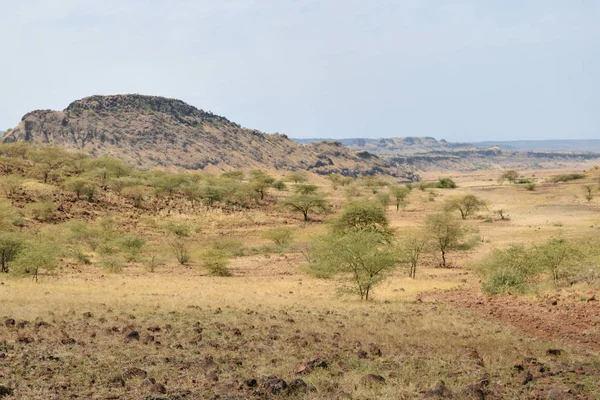 Kurak manzara OAF Lake Magadi, Magadi, Rift Vadisi, Kenya