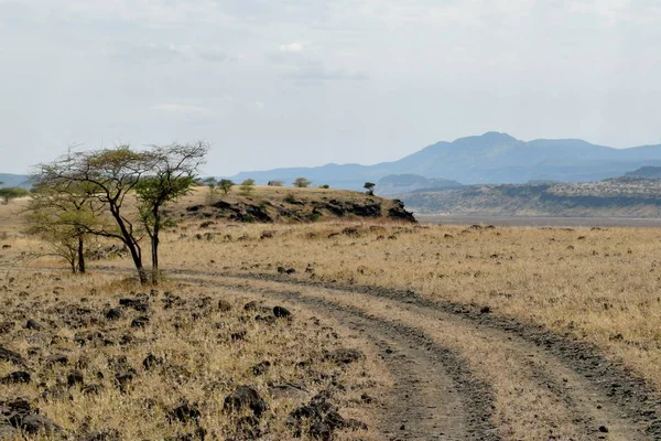 乾燥した風景ふざける湖マガディ マガディ リフトバレー ケニア — ストック写真