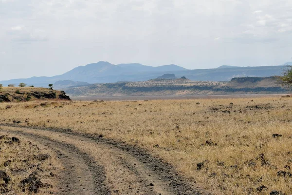 Arid Landscapes Oaf Lake Magadi Magadi Rift Valley Kenya — Stock Photo, Image