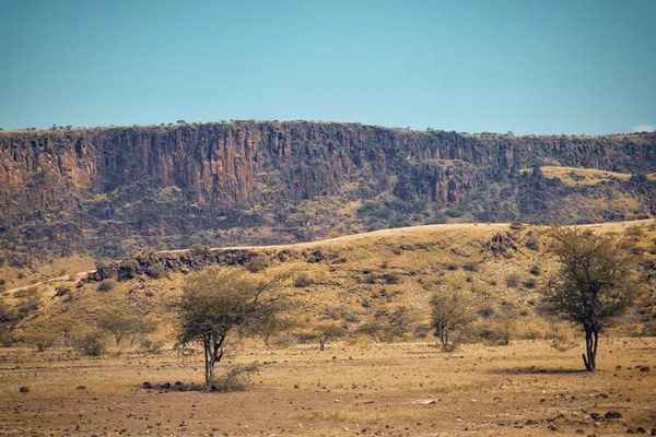 Kurak manzara OAF Lake Magadi, Magadi, Rift Vadisi, Kenya