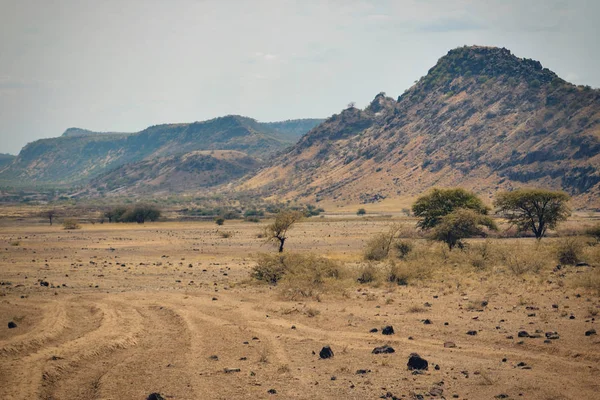 Les Paysages Arides Oaf Lac Magadi Magadi Vallée Rift Kenya — Photo