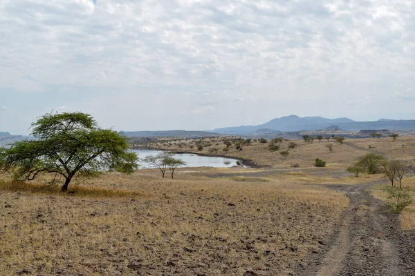 Kurak manzara OAF Lake Magadi, Magadi, Rift Vadisi, Kenya