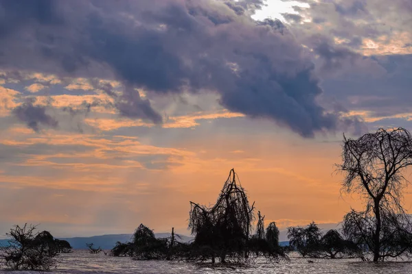 Zlatá Hodina Jezera Naivasha Keňa — Stock fotografie