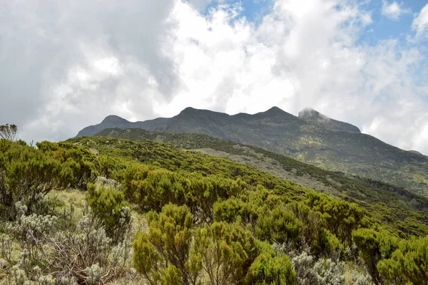 Vízesés Esőerdőben Panorámás Hegyi Tájak Aberdares Kenya — Stock Fotó