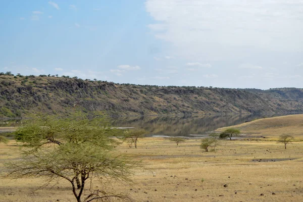 ケニアのMagadi湖の乾燥した風景の中でサファリアドベンチャーを見てゲーム — ストック写真