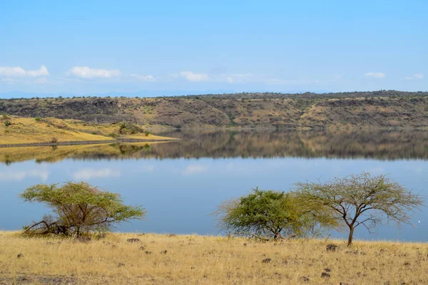 Aventure Safari Dans Les Paysages Arides Lac Magadi Kenya — Photo