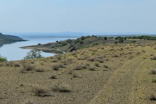 Game watching safari adventure in the arid landscapes of Lake Magadi, Kenya