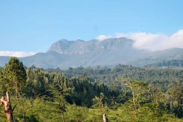 Kenya, Aberdare 'in panoramik dağ manzaralarındaki yağmur ormanlarındaki şelale