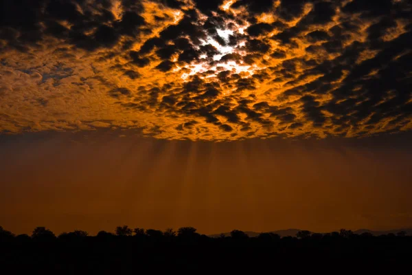 Západ Slunce Řece Chobe Národní Park Chobe Botswana — Stock fotografie
