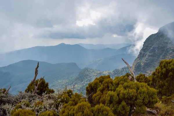 Cascata Nella Foresta Pluviale Nei Paesaggi Montani Panoramici Aberdares Kenya Immagini Stock Royalty Free