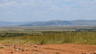 Kenya 'daki Masai Mara Ulusal Rezervi' nde gökyüzüne karşı manzaralı savana otlakları