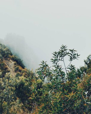 Gökyüzüne karşı manzaralı dağ manzaraları, Longonot Dağı, Kenya