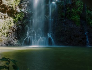 Ormanda manzaralı şelale, Aberdare Sıradağları, Kenya