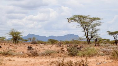 Kenya 'daki Samburu Ulusal Rezervi panoramik dağ manzaralarında Ewaso Nyiro Nehri.