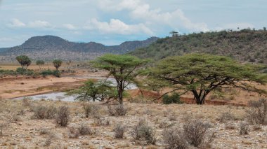 Kenya 'daki Samburu Ulusal Rezervi panoramik dağ manzaralarında Ewaso Nyiro Nehri.