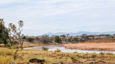 Kenya 'daki Samburu Ulusal Rezervi panoramik dağ manzaralarında Ewaso Nyiro Nehri.