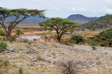 Kenya 'daki Samburu Ulusal Rezervi panoramik dağ manzaralarında Ewaso Nyiro Nehri.
