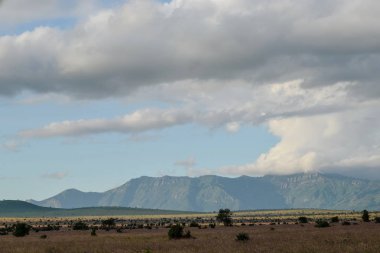 Kenya 'daki Tsavo Doğu Ulusal Parkı' nın ovalarında toprak bir yol.