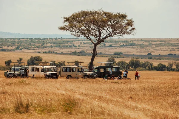 Kenya, Masai Mara Ulusal Rezervi 'ndeki Savannah manzarasında bir safari minibüsü.